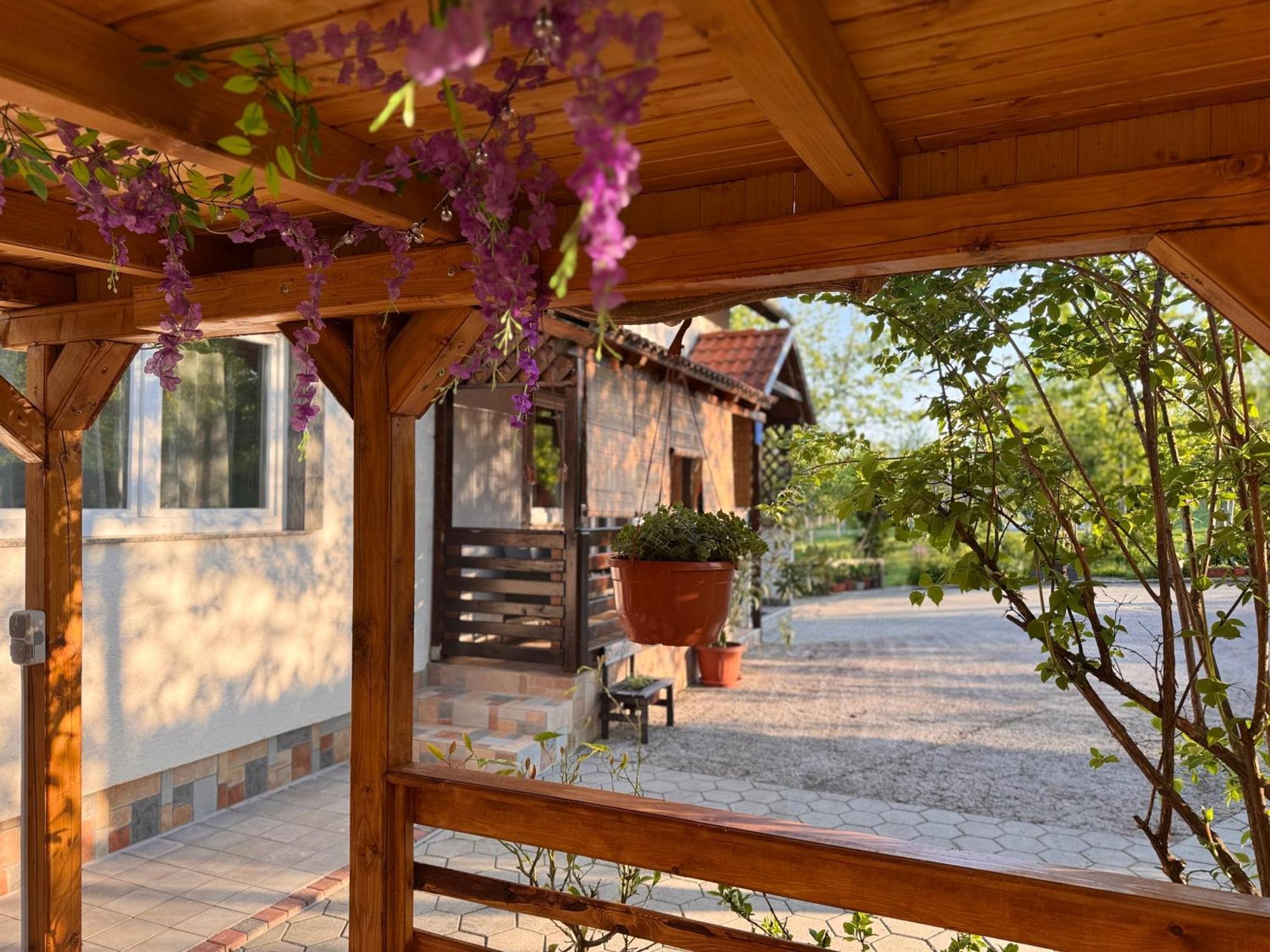 Apartment Liso Seliste Dreznicko Exteriör bild
